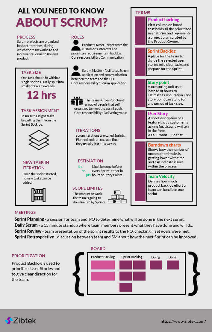 Everything You Need to Know About Scrum | Infographic